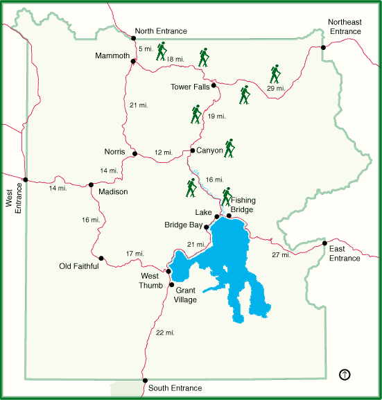 YNP, 1999