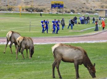 Only in Gardiner, MT.